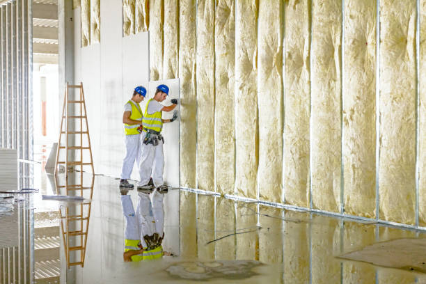 Best Residential Insulation in Porterdale, GA